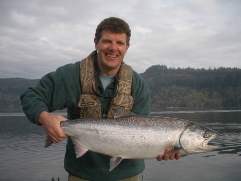 King salmon in Vancouver