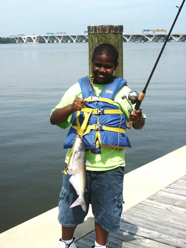 Channel catfish in Fairfax