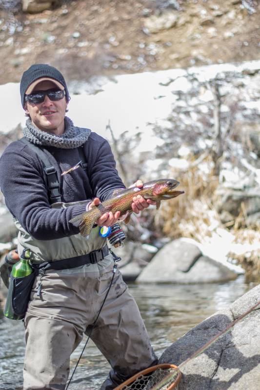 Rainbow trout in Kremmling