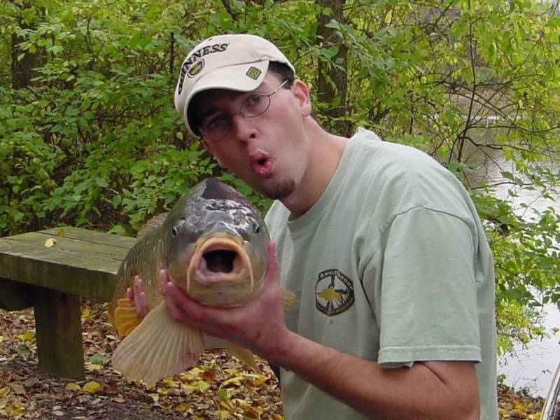 Common carp in Fort Thomas