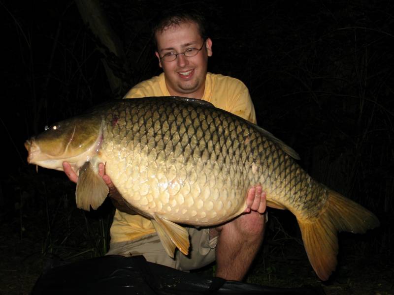 Common carp in Wilder