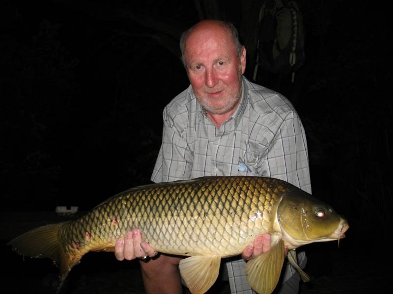 Common carp in Wilder