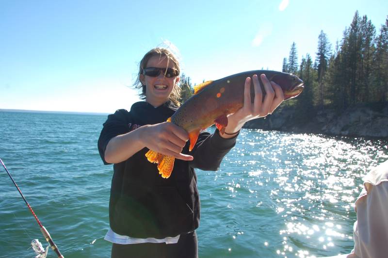 Cutthroat trout in Yellowstone Lake