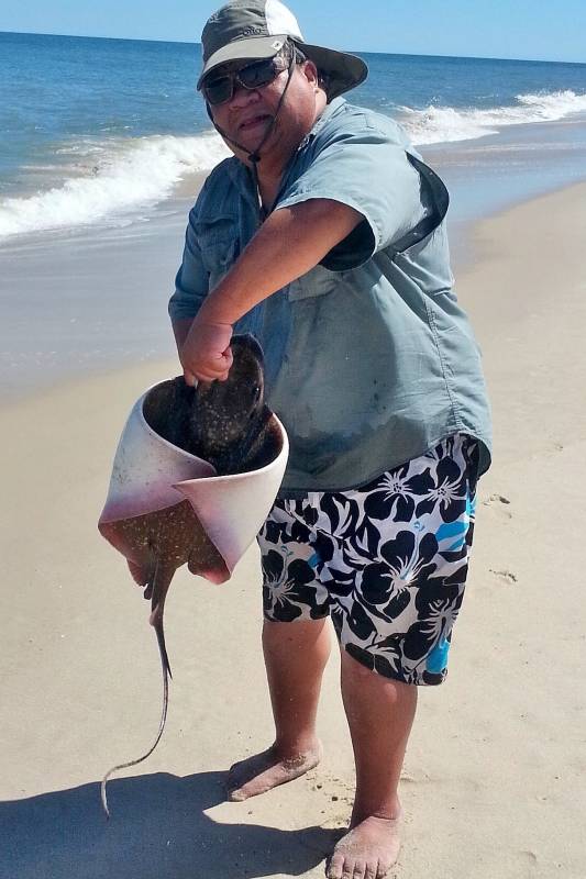 Stingrays in Ellendale