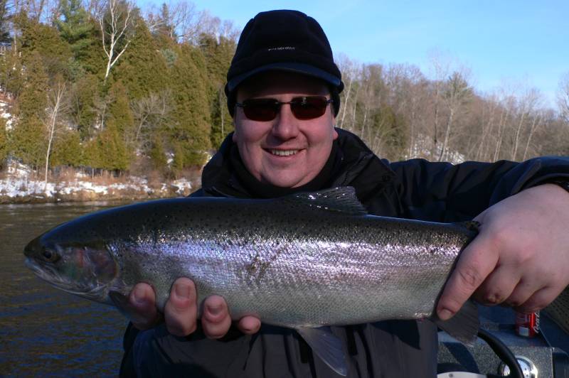 Steelhead in Belding