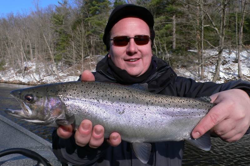 Steelhead in Belding
