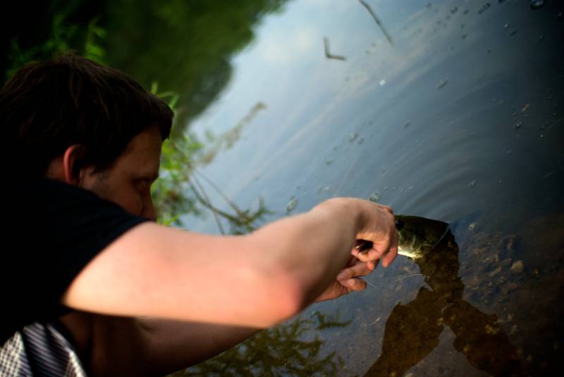 Largemouth bass in Pickerington