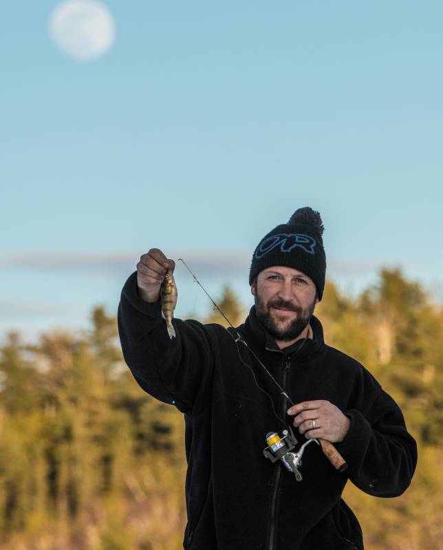 Yellow perch in Ely