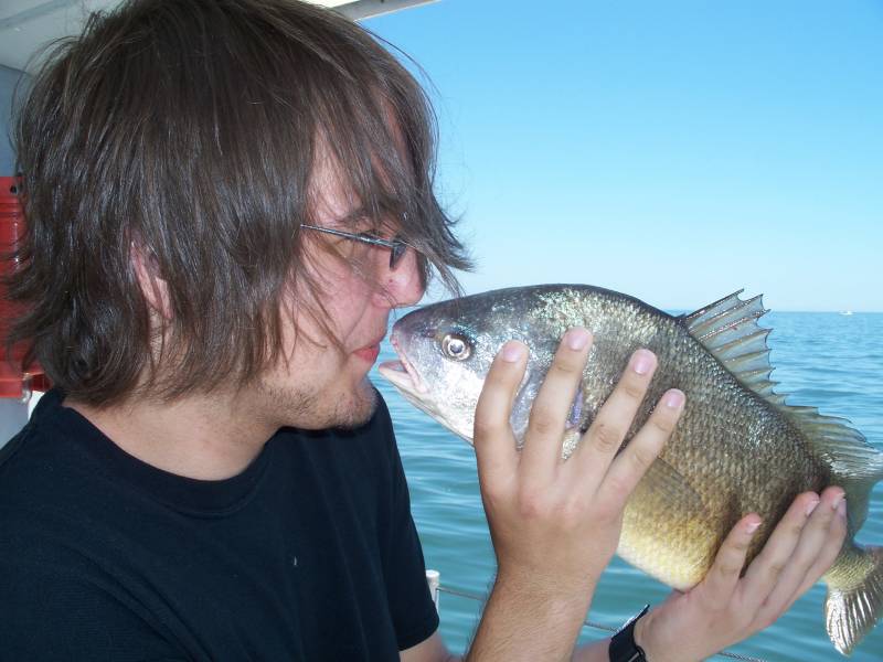 Freshwater drum in Rockwood