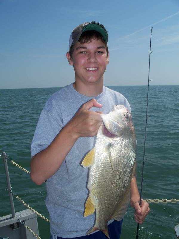 Freshwater drum in Lake Erie