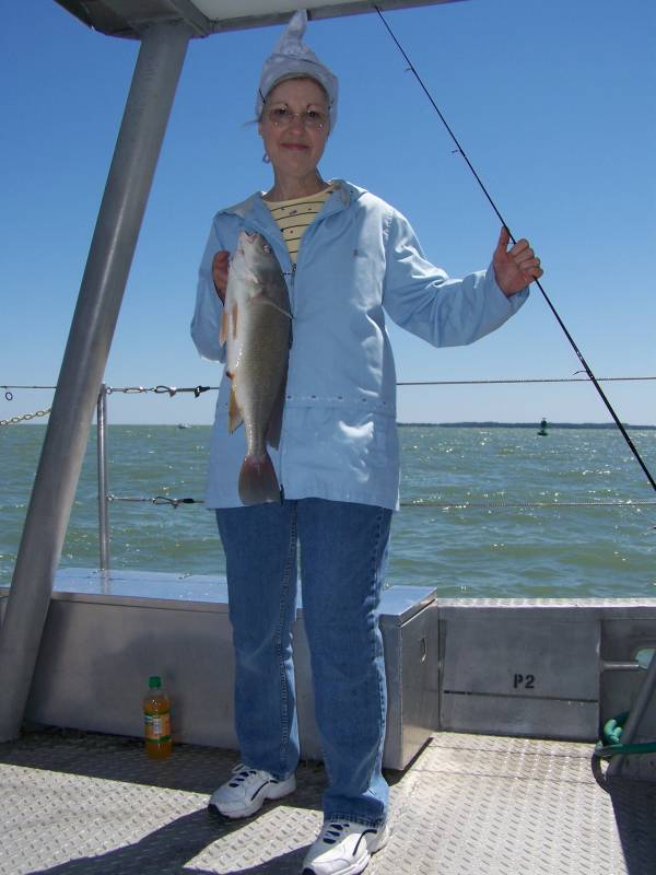 Freshwater drum in Lake Erie
