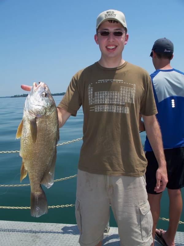 Freshwater drum in Lake Erie
