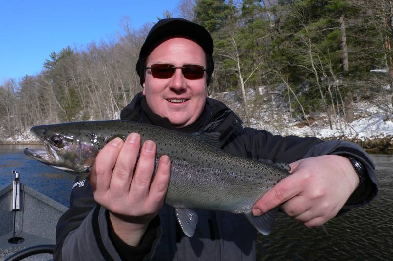 Steelhead in Belding