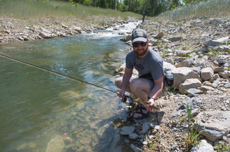 Rainbow trout in Kentucky