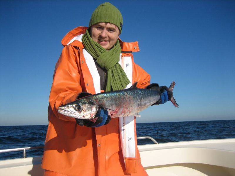King mackerel in Harkers Island