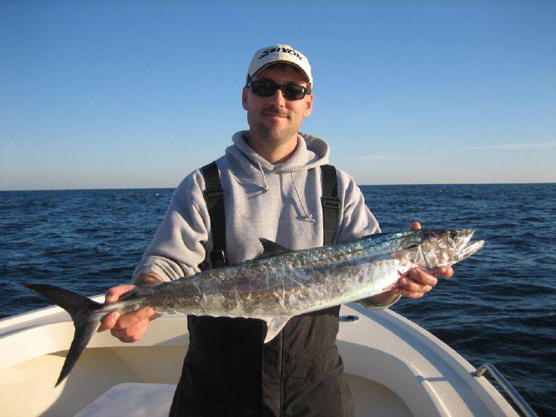 King mackerel in Harkers Island