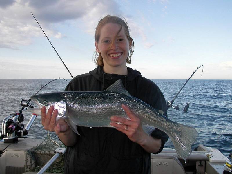 Rainbow trout in Wisconsin