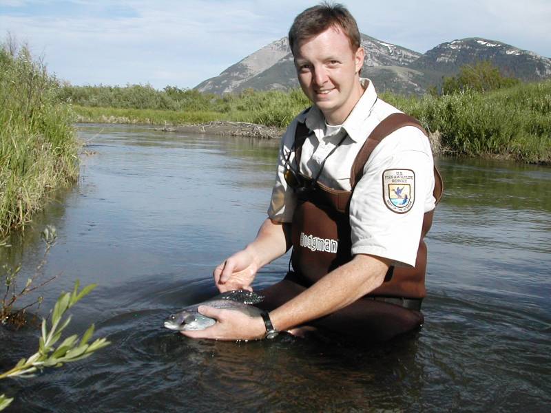 Arctic grayling in Montana