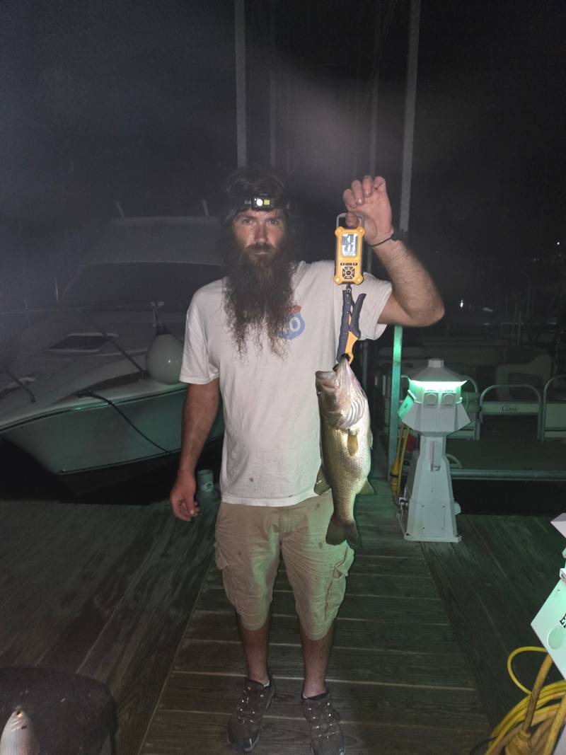 Largemouth bass in Tennessee
