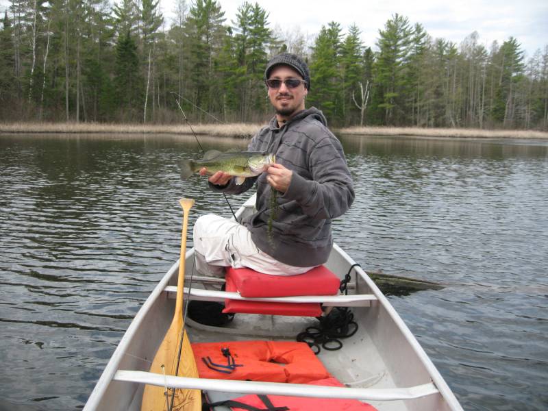Largemouth bass in Wisconsin