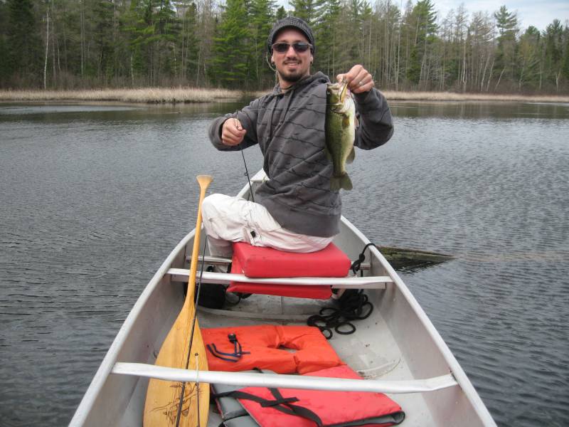 Largemouth bass in Wisconsin