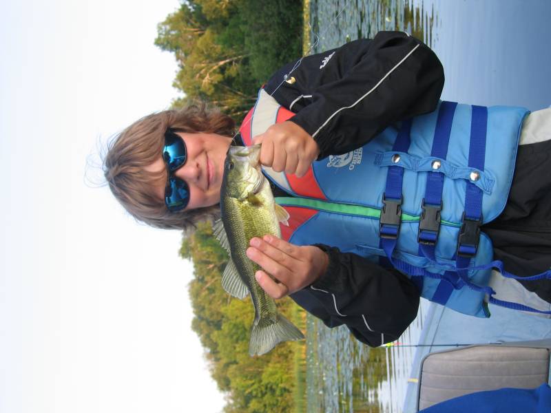 Largemouth bass in East Gull Lake