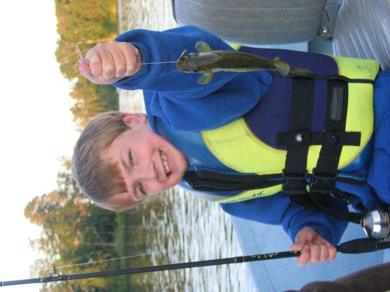 Black crappie in East Gull Lake