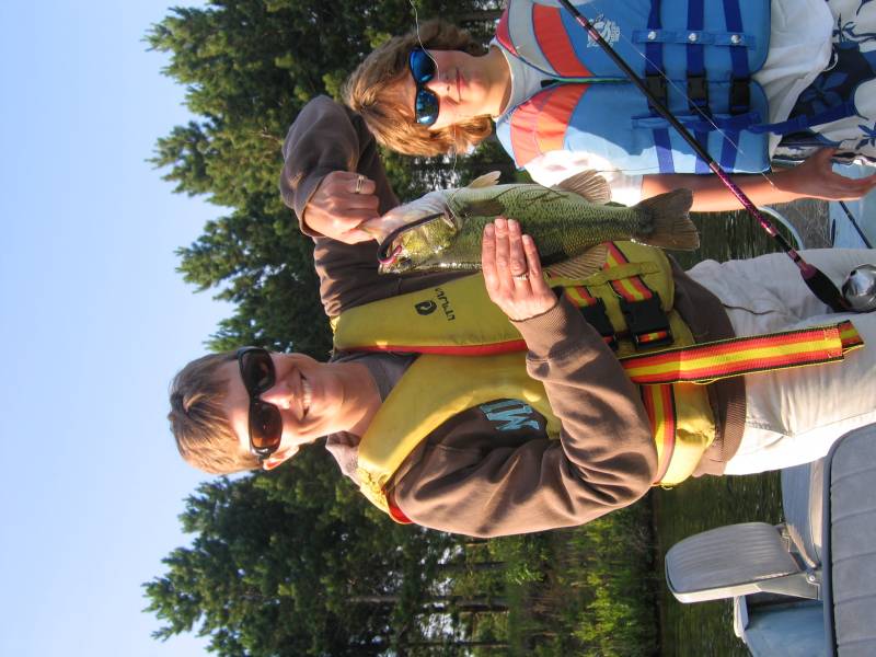 Largemouth bass in East Gull Lake