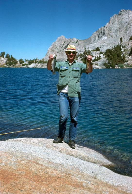 Brook trout, Rainbow trout in California
