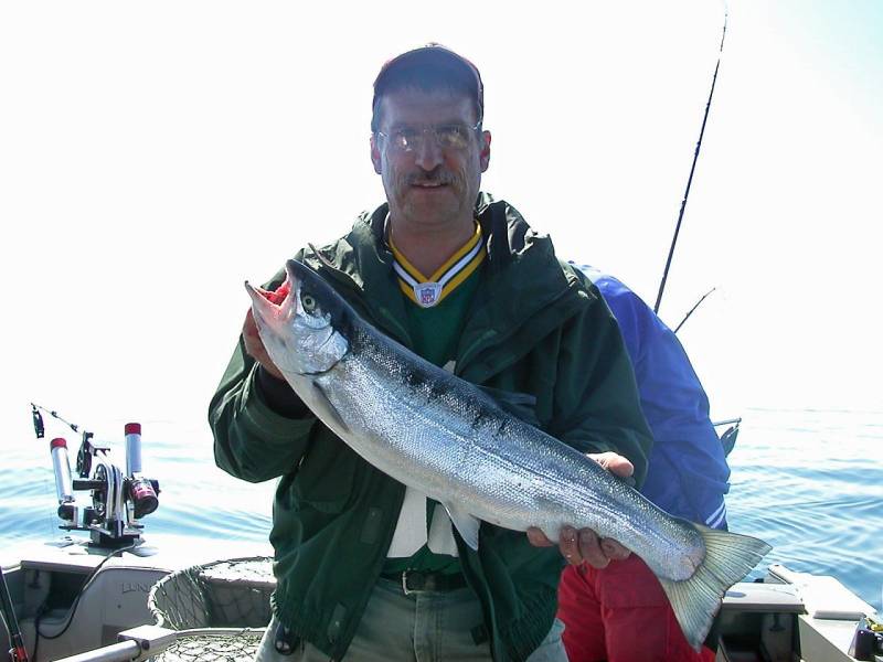Rainbow trout in Wisconsin