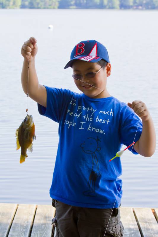 Bluegill in Maine