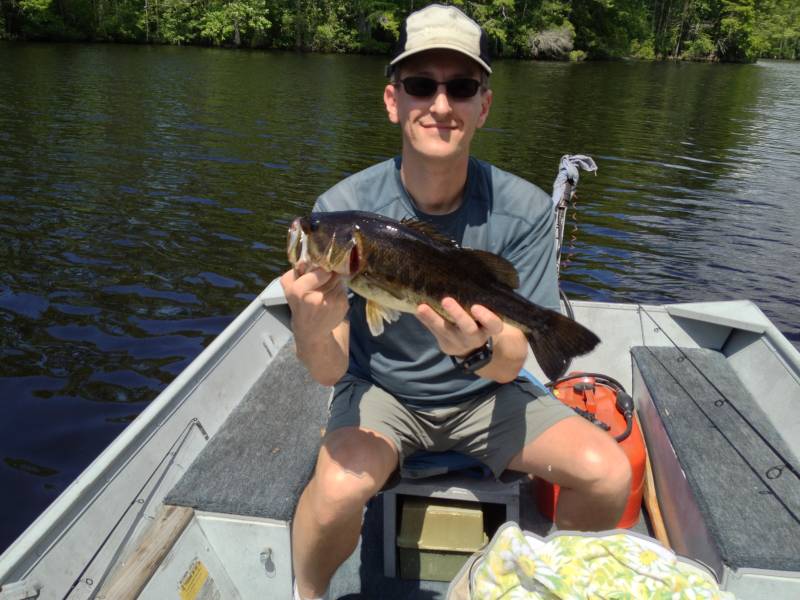 Largemouth bass in Portsmouth