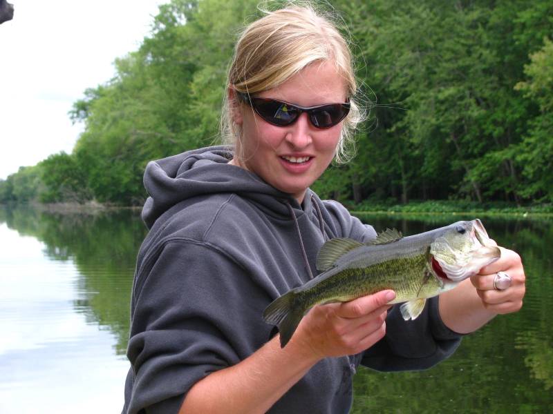 Largemouth bass in Ionia