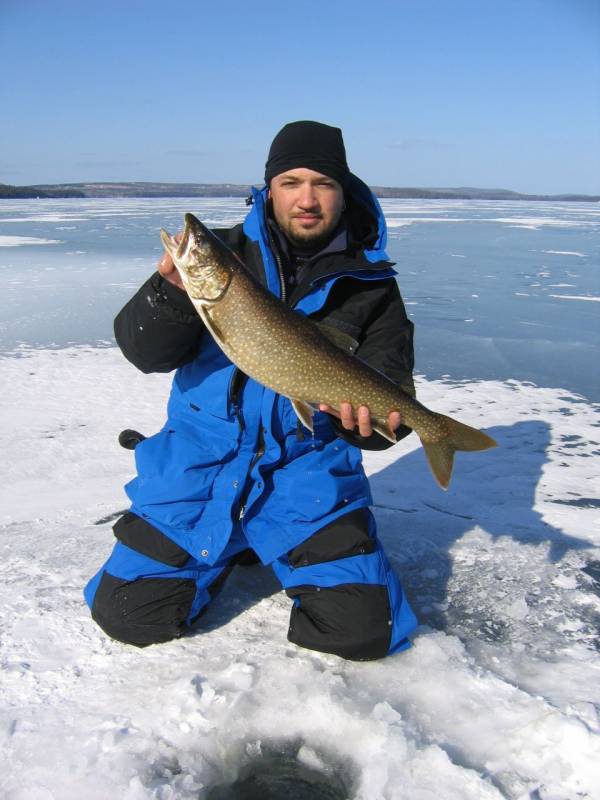 Lake trout in Maine