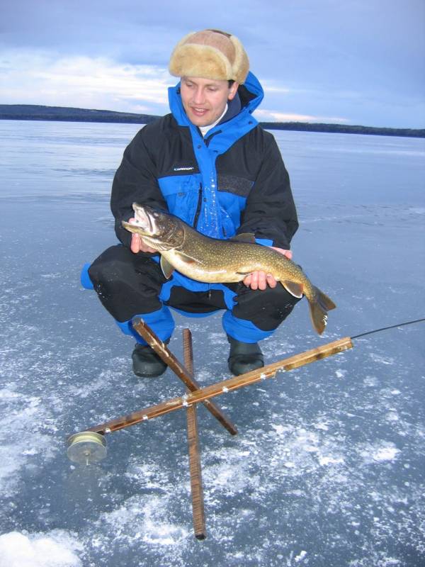 Lake trout in Maine