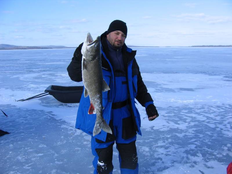Lake trout in Maine