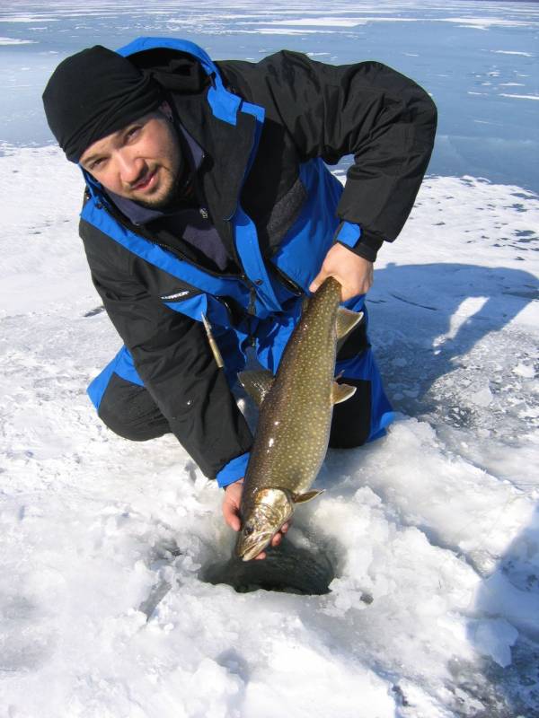 Lake trout in Maine