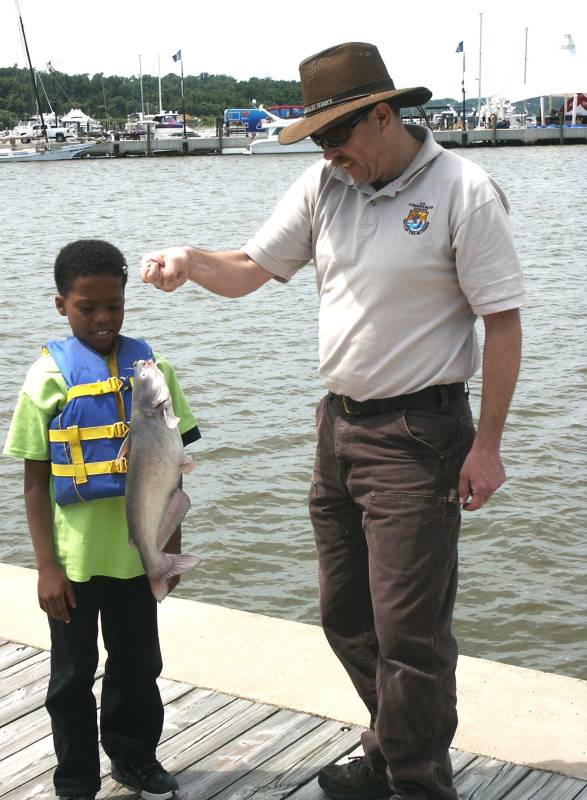 Blue catfish in Fairfax