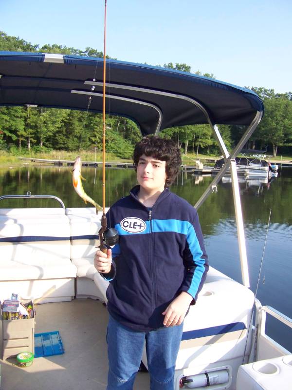 Yellow perch in Maryland