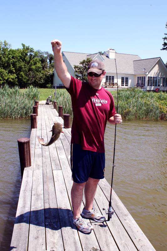 Channel catfish in Bethel