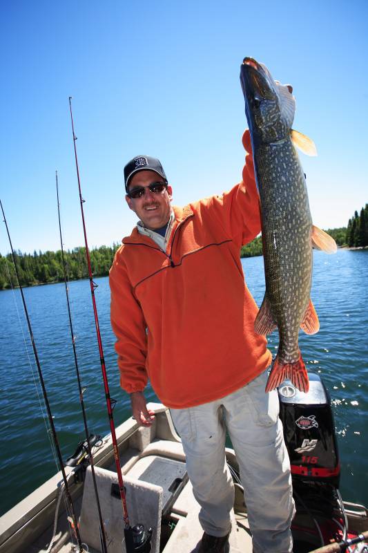 Northern pike in Lake Superior