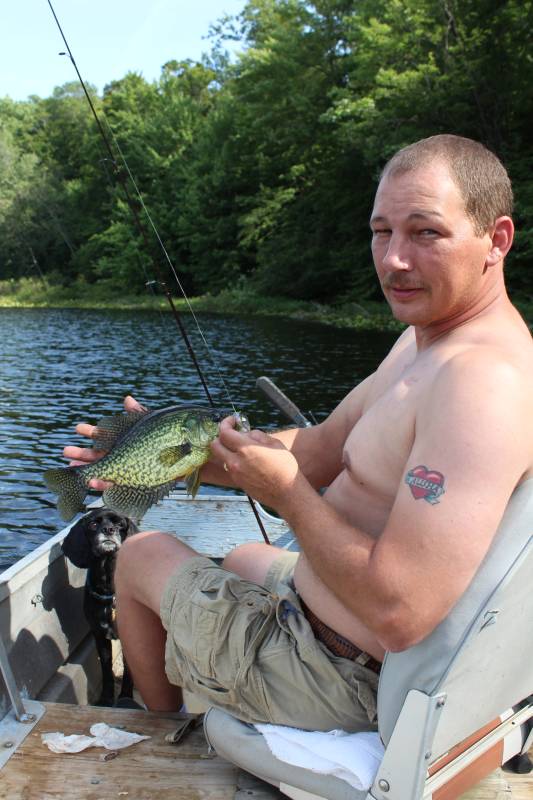 Black crappie in Springfield