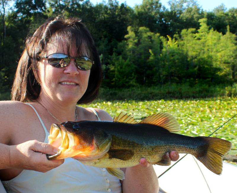 Largemouth bass in Springfield