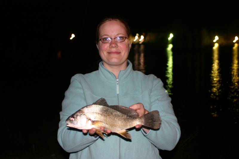 Freshwater drum in Manistee