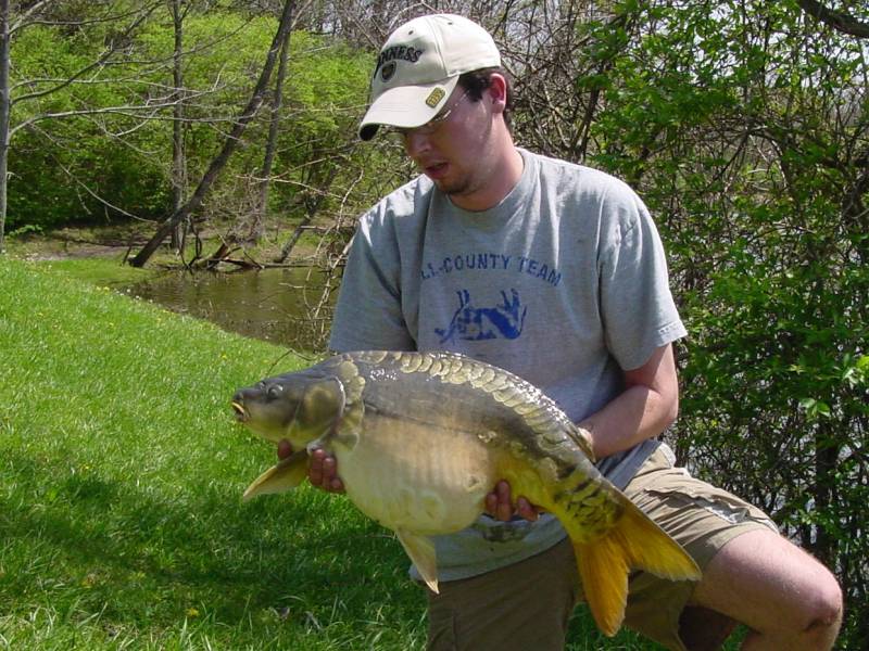 Mirror carp in Jamestown