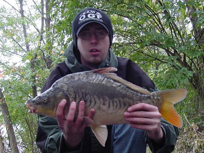 Mirror carp in Jamestown