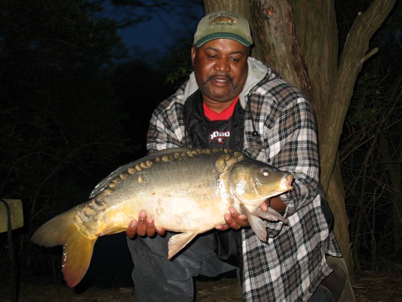 Mirror carp in Springboro