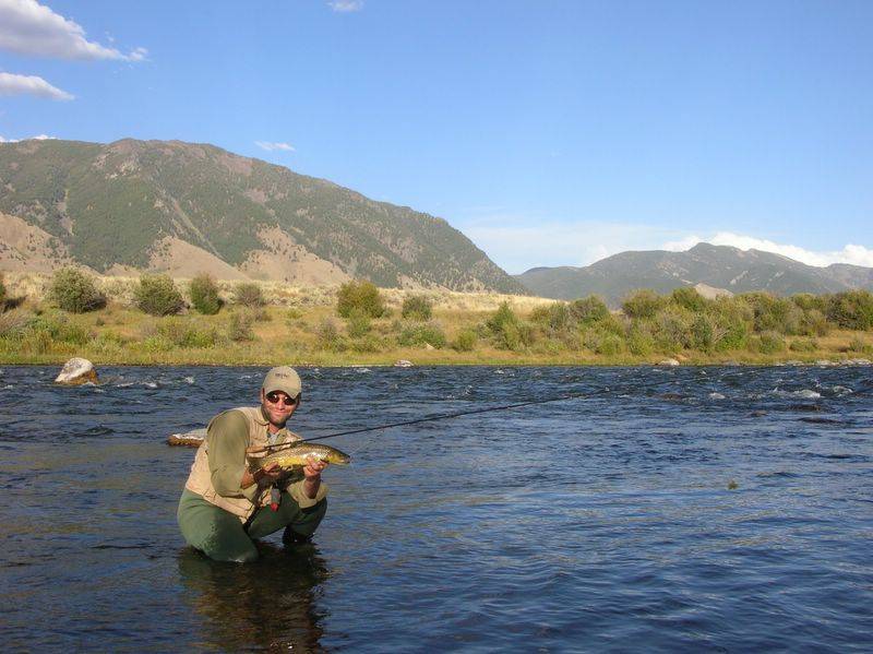 Brook trout in Madison River