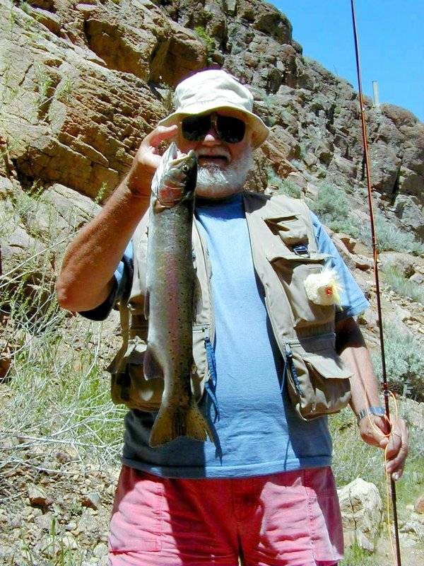Rainbow trout in Owyhee River