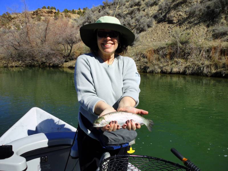 Rainbow trout in New Mexico
